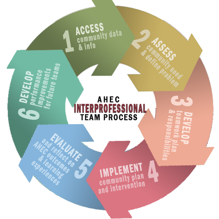 The 6 Steps of the Interprofessional Team Process