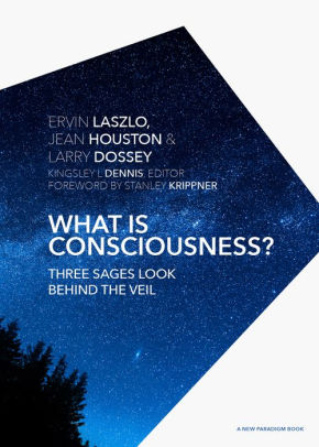 The book cover for What is Consciousness?.