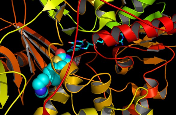 In silico drug design magnification