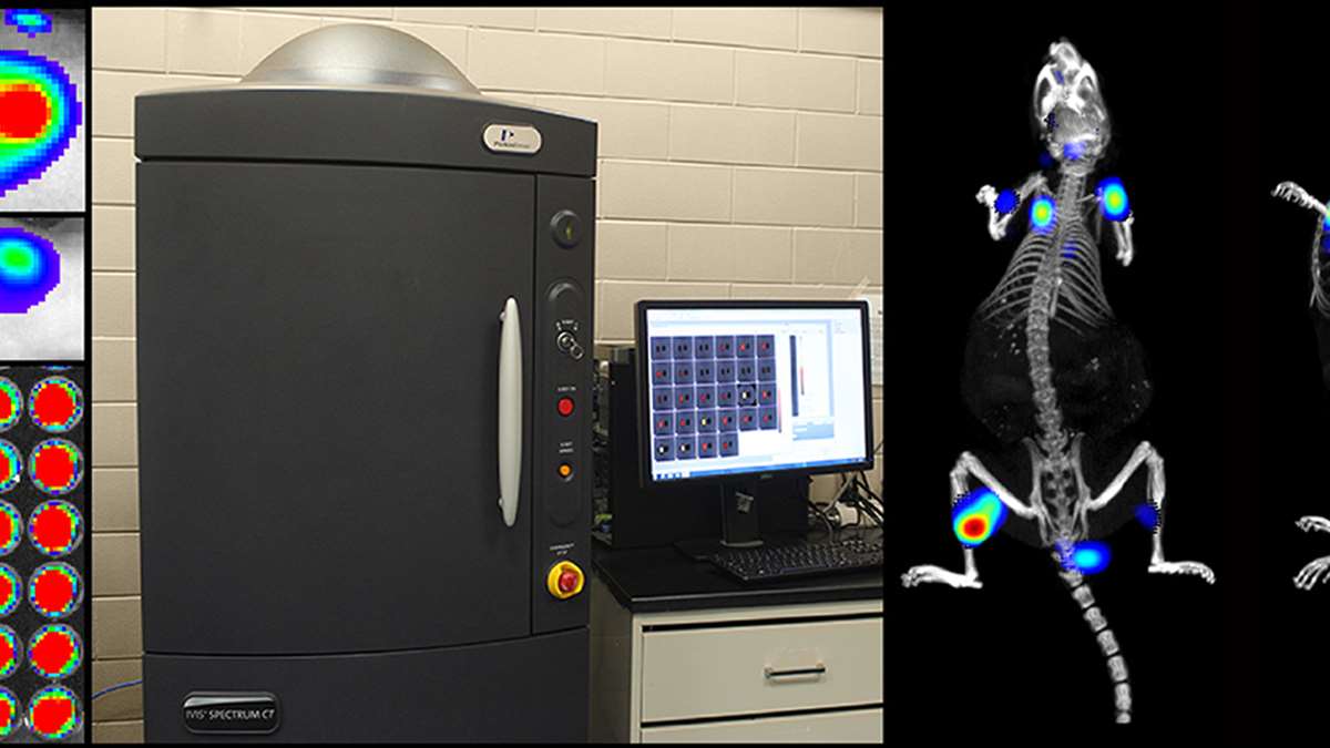 IVIS® Spectrum In Vivo Imaging System