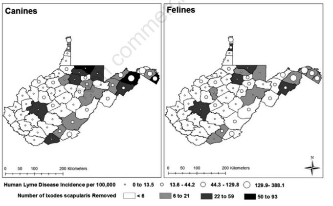 Two county maps of West Virginia, comparing the rates of Human Lyme Disease in canine and feline subjects. Refer to the text of this page for more details.