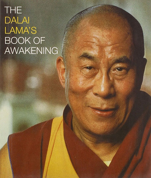 The book cover for Book of Awakening.